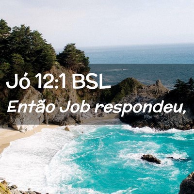 Picture 02 - Jó 12:1 BSL - Então Job - Bible Verse Picture