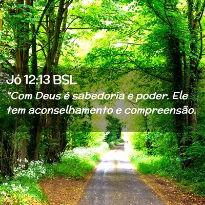 Picture 02 - Jó 12:13 BSL - “Com Deus é sabedoria e poder. Ele tem - Bible Verse Picture