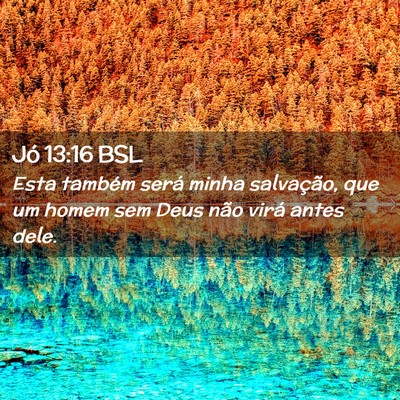 Picture 02 - Jó 13:16 BSL - Esta também será minha salvação, que um homem - Bible Verse Picture