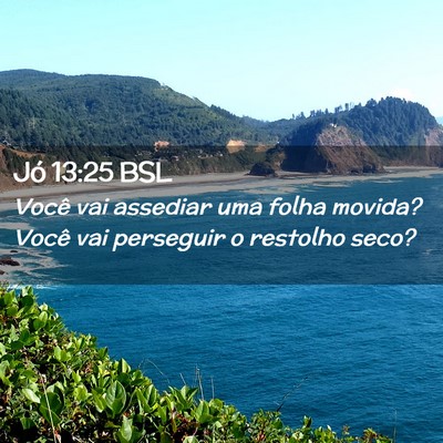 Picture 02 - Jó 13:25 BSL - Você vai assediar uma folha movida? Você vai - Bible Verse Picture