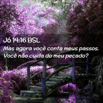 Picture 02 - Jó 14:16 BSL - Mas agora você conta meus passos. Você não - Bible Verse Picture