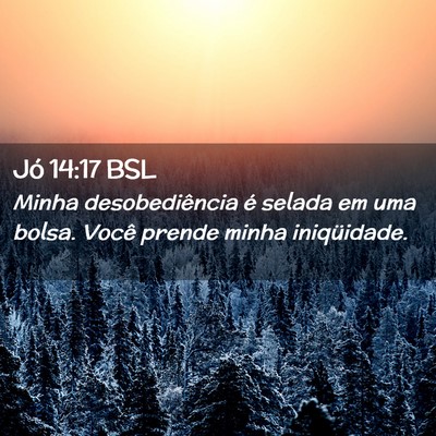 Picture 02 - Jó 14:17 BSL - Minha desobediência é selada em uma bolsa. - Bible Verse Picture