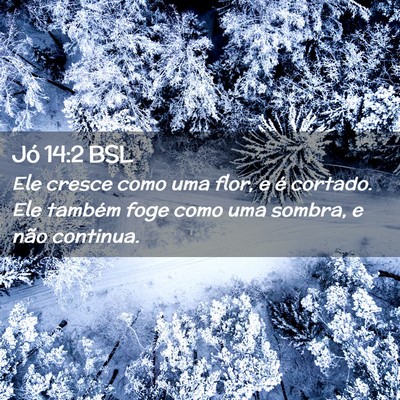 Picture 02 - Jó 14:2 BSL - Ele cresce como uma flor, e é cortado. Ele - Bible Verse Picture