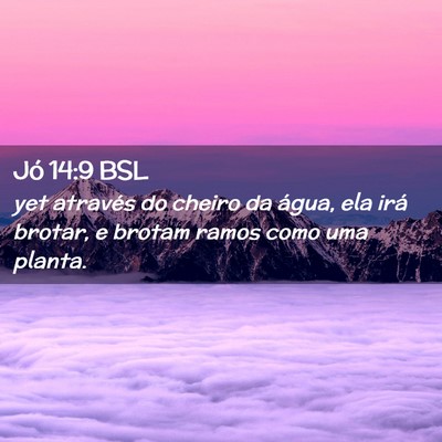 Picture 02 - Jó 14:9 BSL - yet através do cheiro da água, ela irá brotar, - Bible Verse Picture
