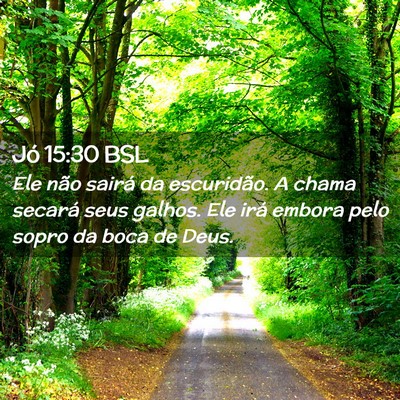 Picture 02 - Jó 15:30 BSL - Ele não sairá da escuridão. A chama secará - Bible Verse Picture
