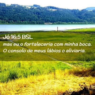 Picture 02 - Jó 16:5 BSL - mas eu o fortaleceria com minha boca. O consolo - Bible Verse Picture