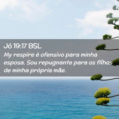 Picture 02 - Jó 19:17 BSL - My respire é ofensivo para minha esposa. Sou - Bible Verse Picture