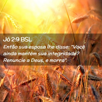 Picture 02 - Jó 2:9 BSL - Então sua esposa lhe disse: “Você ainda - Bible Verse Picture