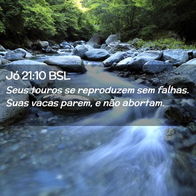 Picture 02 - Jó 21:10 BSL - Seus touros se reproduzem sem falhas. Suas vacas - Bible Verse Picture