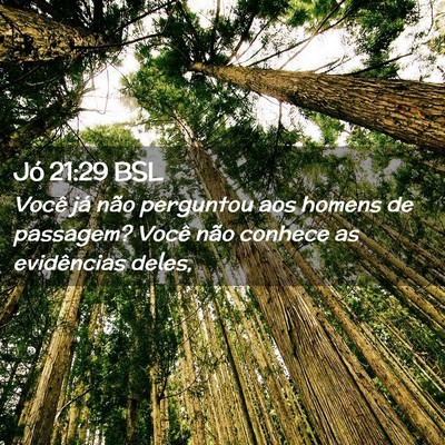 Picture 02 - Jó 21:29 BSL - Você já não perguntou aos homens de passagem? - Bible Verse Picture