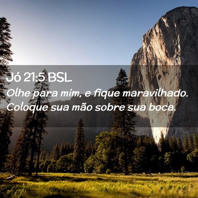 Picture 02 - Jó 21:5 BSL - Olhe para mim, e fique maravilhado. Coloque sua - Bible Verse Picture