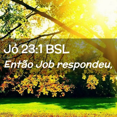 Picture 02 - Jó 23:1 BSL - Então Job - Bible Verse Picture