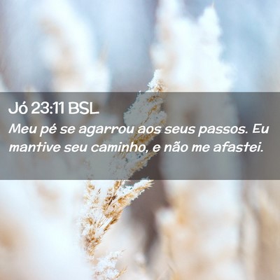 Picture 02 - Jó 23:11 BSL - Meu pé se agarrou aos seus passos. Eu mantive - Bible Verse Picture