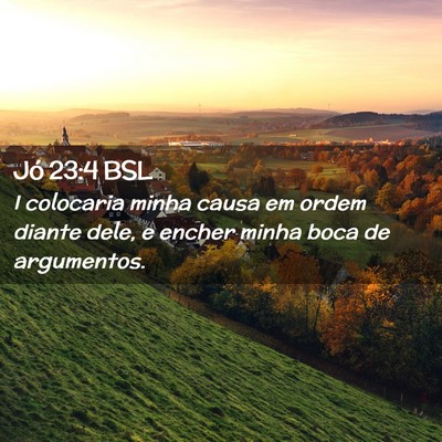 Picture 02 - Jó 23:4 BSL - I colocaria minha causa em ordem diante dele, e - Bible Verse Picture