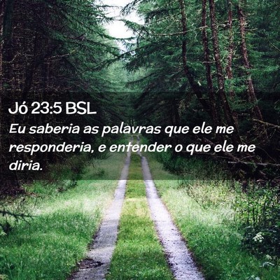 Picture 02 - Jó 23:5 BSL - Eu saberia as palavras que ele me responderia, e - Bible Verse Picture