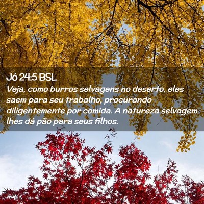 Picture 02 - Jó 24:5 BSL - Veja, como burros selvagens no deserto, eles saem - Bible Verse Picture