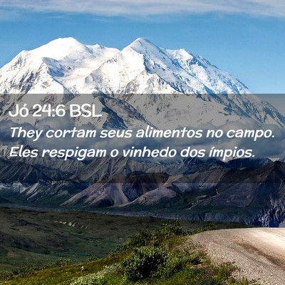 Picture 02 - Jó 24:6 BSL - They cortam seus alimentos no campo. Eles - Bible Verse Picture