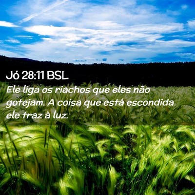 Picture 02 - Jó 28:11 BSL - Ele liga os riachos que eles não gotejam. A - Bible Verse Picture