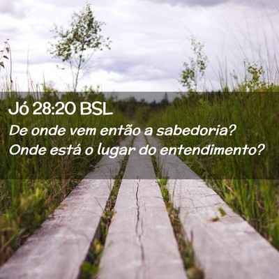 Picture 02 - Jó 28:20 BSL - De onde vem então a sabedoria? Onde está o - Bible Verse Picture