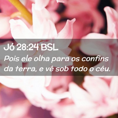 Picture 02 - Jó 28:24 BSL - Pois ele olha para os confins da terra, e vê sob - Bible Verse Picture