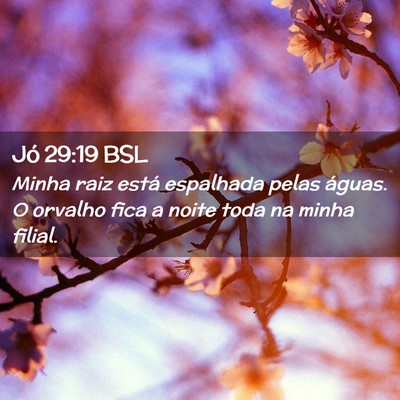 Picture 02 - Jó 29:19 BSL - Minha raiz está espalhada pelas águas. O - Bible Verse Picture
