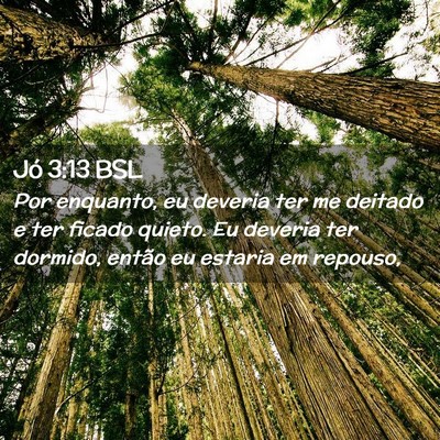 Picture 02 - Jó 3:13 BSL - Por enquanto, eu deveria ter me deitado e ter - Bible Verse Picture