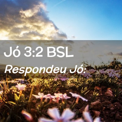 Picture 02 - Jó 3:2 BSL - Respondeu - Bible Verse Picture