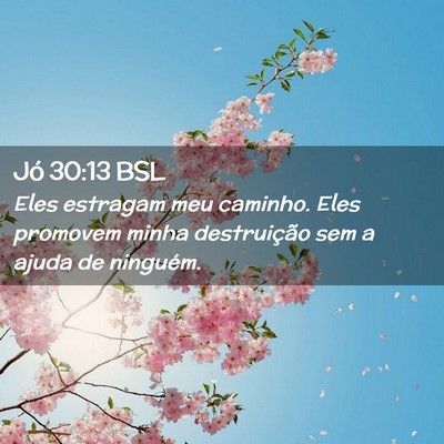Picture 02 - Jó 30:13 BSL - Eles estragam meu caminho. Eles promovem minha - Bible Verse Picture