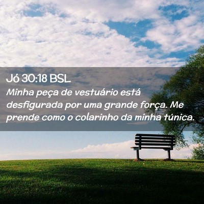 Picture 02 - Jó 30:18 BSL - Minha peça de vestuário está desfigurada por - Bible Verse Picture