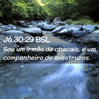 Picture 02 - Jó 30:29 BSL - Sou um irmão de chacais, e um companheiro de - Bible Verse Picture