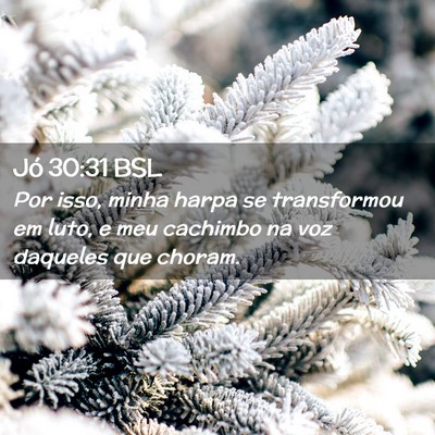 Picture 02 - Jó 30:31 BSL - Por isso, minha harpa se transformou em luto, e - Bible Verse Picture