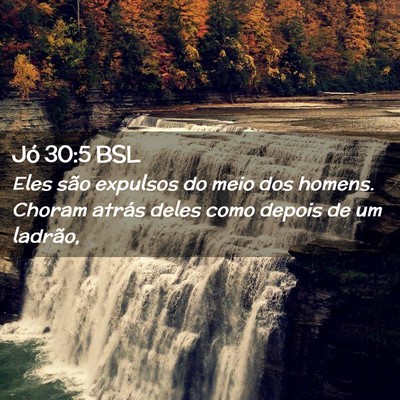Picture 02 - Jó 30:5 BSL - Eles são expulsos do meio dos homens. Choram - Bible Verse Picture