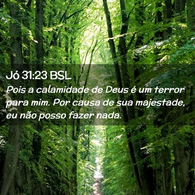 Picture 02 - Jó 31:23 BSL - Pois a calamidade de Deus é um terror para mim. - Bible Verse Picture