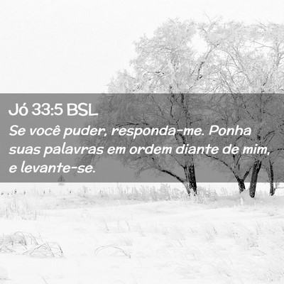 Picture 02 - Jó 33:5 BSL - Se você puder, responda-me. Ponha suas palavras - Bible Verse Picture