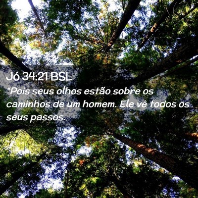 Picture 02 - Jó 34:21 BSL - “Pois seus olhos estão sobre os caminhos de um - Bible Verse Picture
