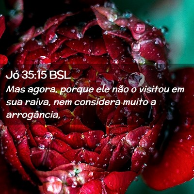 Picture 02 - Jó 35:15 BSL - Mas agora, porque ele não o visitou em sua - Bible Verse Picture