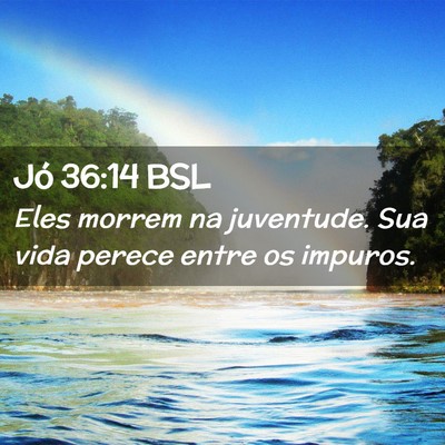Picture 02 - Jó 36:14 BSL - Eles morrem na juventude. Sua vida perece entre - Bible Verse Picture