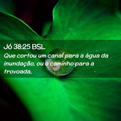 Picture 02 - Jó 38:25 BSL - Que cortou um canal para a água da inundação, - Bible Verse Picture