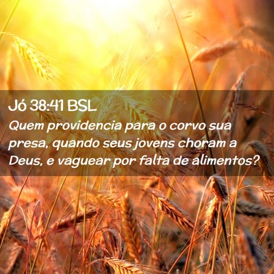 Picture 02 - Jó 38:41 BSL - Quem providencia para o corvo sua presa, quando - Bible Verse Picture