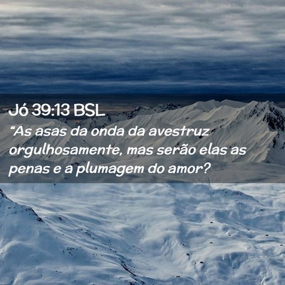 Picture 02 - Jó 39:13 BSL - “As asas da onda da avestruz orgulhosamente, - Bible Verse Picture