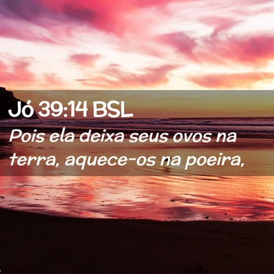 Picture 02 - Jó 39:14 BSL - Pois ela deixa seus ovos na terra, aquece-os na - Bible Verse Picture