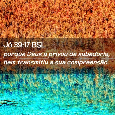 Picture 02 - Jó 39:17 BSL - porque Deus a privou de sabedoria, nem transmitiu - Bible Verse Picture