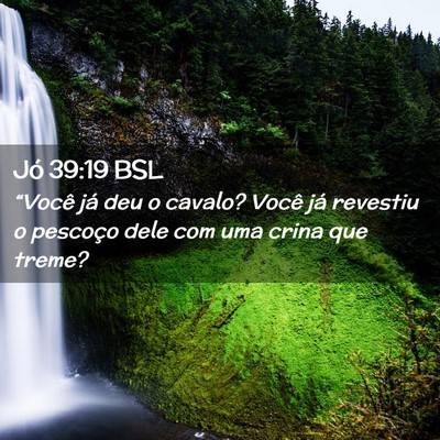Picture 02 - Jó 39:19 BSL - “Você já deu o cavalo? Você já revestiu o - Bible Verse Picture