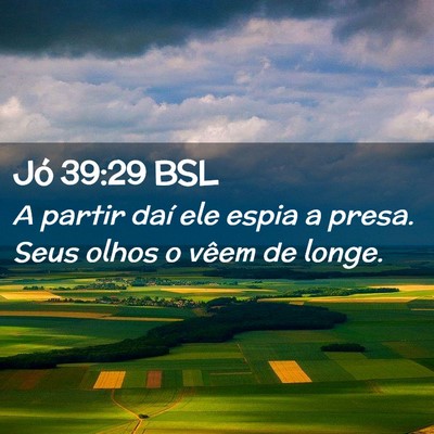 Picture 02 - Jó 39:29 BSL - A partir daí ele espia a presa. Seus olhos o - Bible Verse Picture