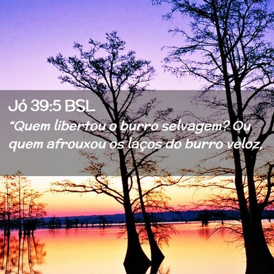 Picture 02 - Jó 39:5 BSL - “Quem libertou o burro selvagem? Ou quem - Bible Verse Picture