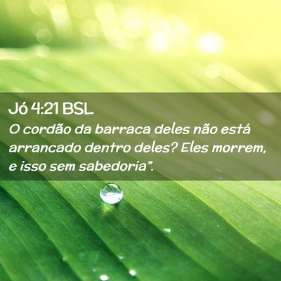 Picture 02 - Jó 4:21 BSL - O cordão da barraca deles não está arrancado - Bible Verse Picture
