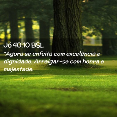 Picture 02 - Jó 40:10 BSL - “Agora se enfeita com excelência e dignidade. - Bible Verse Picture
