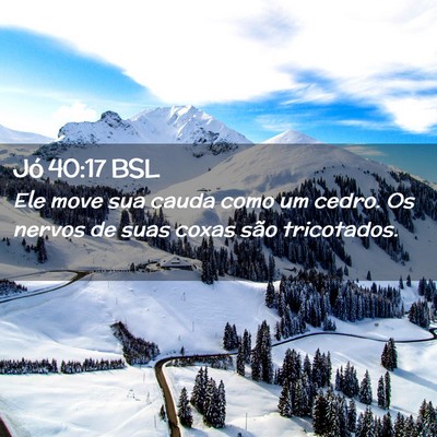 Picture 02 - Jó 40:17 BSL - Ele move sua cauda como um cedro. Os nervos de - Bible Verse Picture