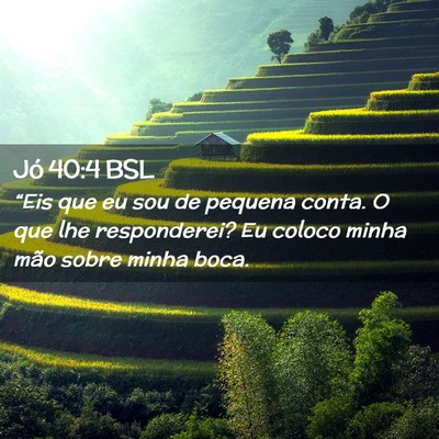 Picture 02 - Jó 40:4 BSL - “Eis que eu sou de pequena conta. O que lhe - Bible Verse Picture