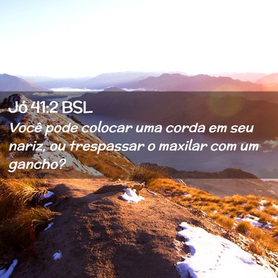 Picture 02 - Jó 41:2 BSL - Você pode colocar uma corda em seu nariz, ou - Bible Verse Picture